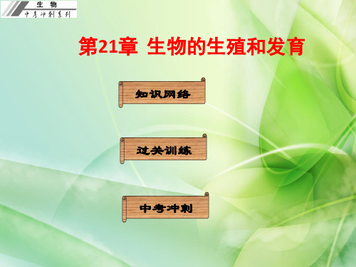 广东省中山市人教版初中生物中考基础梳理复习课件  第21章  生物的生殖和发育(共26张PPT)