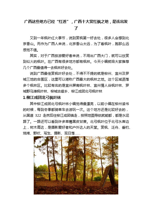 广西这些地方已经“红透”，广西十大赏红枫之地，是该出发了