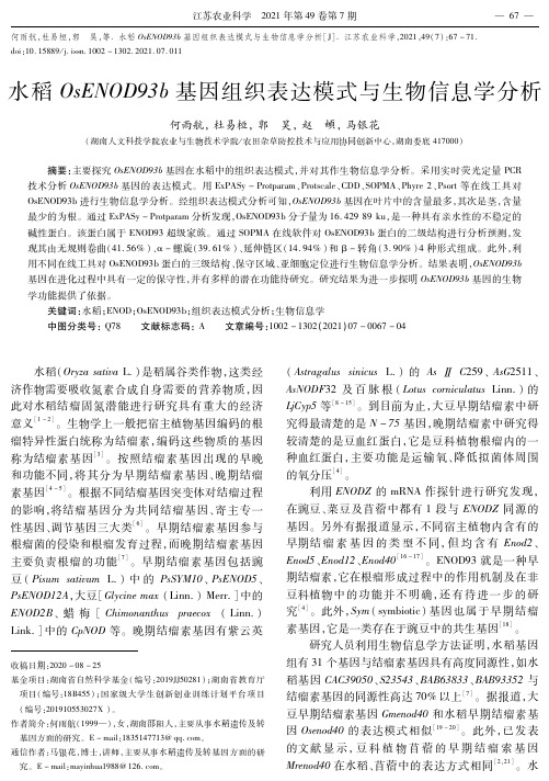 水稻OsENOD93b基因组织表达模式与生物信息学分析