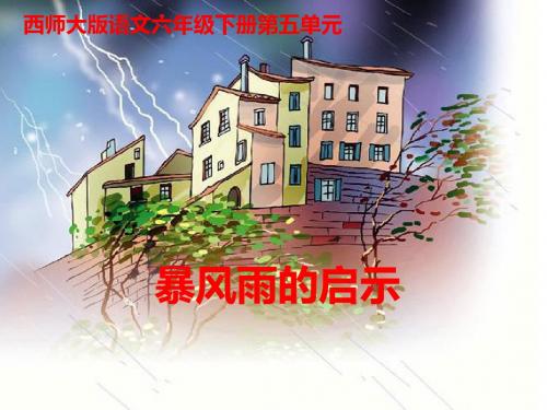 西师大版语文小学六年级下册第17课《暴风雨的启示》PPT课件2