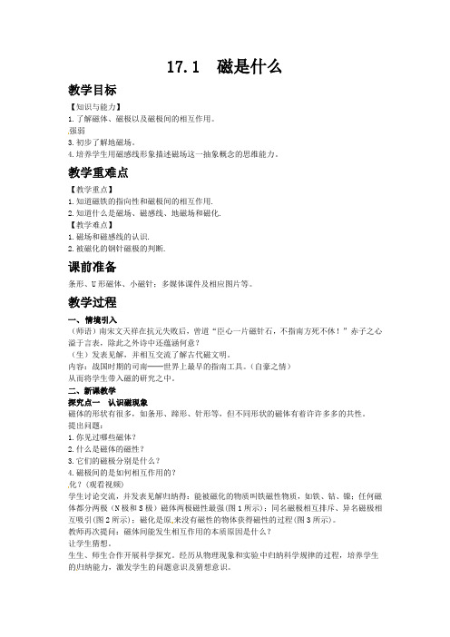 最新word沪科版物理《磁是什么》教案精品