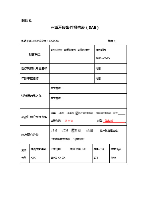 SAE 报告模板