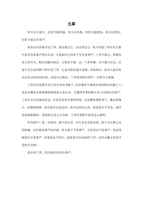 兰草_初中初二作文500字