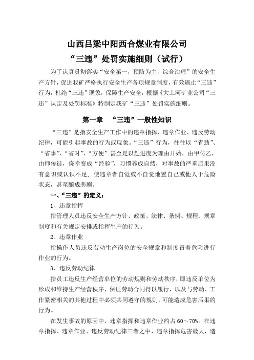 三违认定办法及处罚细则003