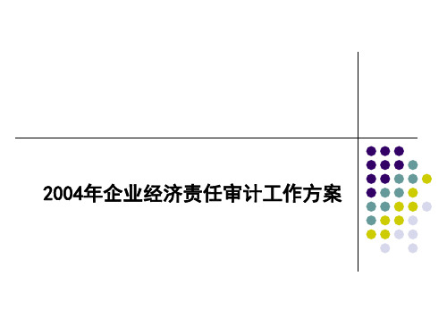 审计署审计方案实例