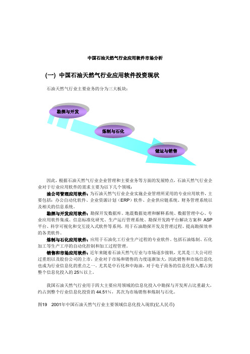 中国石油天然气行业应用软件市场分析