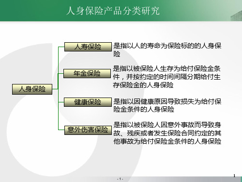 人身保险产品分类研究PPT