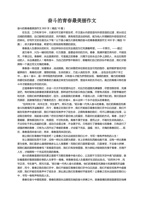 奋斗的青春最美丽作文800字（精选10篇）