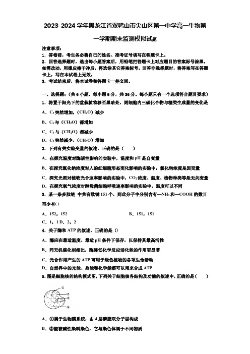 2023-2024学年黑龙江省双鸭山市尖山区第一中学高一生物第一学期期末监测模拟试题含解析