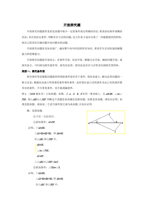 中考数学开放探究题专题复习精讲精练及答案