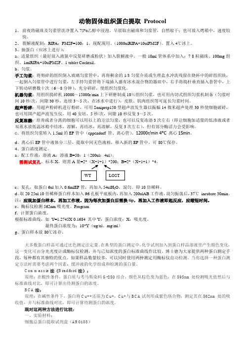 (完整版)动物固体组织蛋白提取-Protocol