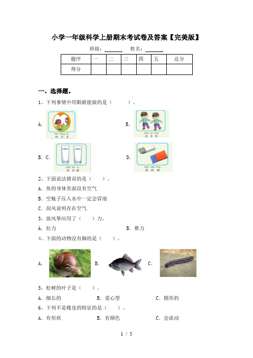 小学一年级科学上册期末考试卷及答案【完美版】