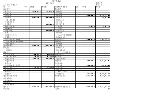 2009资产负债表及损益表