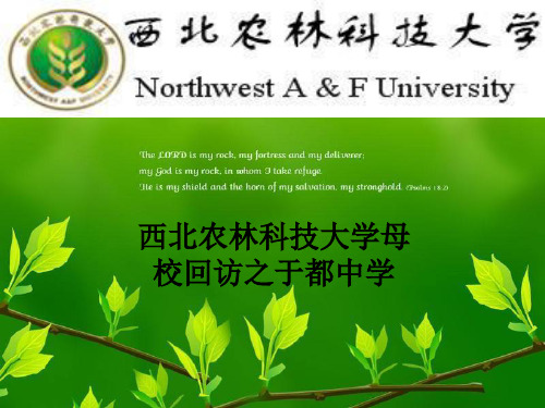 西北农林科技大学母校回访总结展示PPT