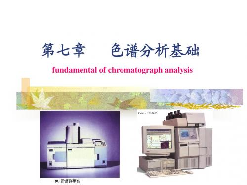 第七章 色谱分析基础