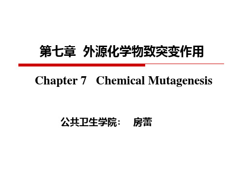 第二次--第七章 外源性化学物致突变作用