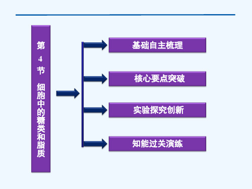 优化方案生物必修一第章第节