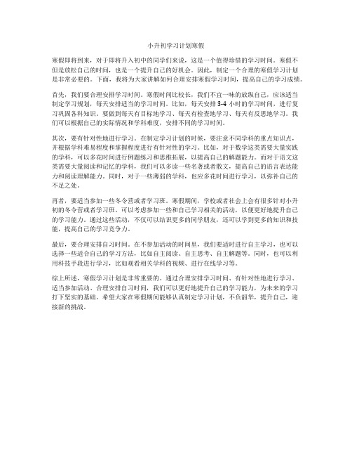 小升初学习计划寒假