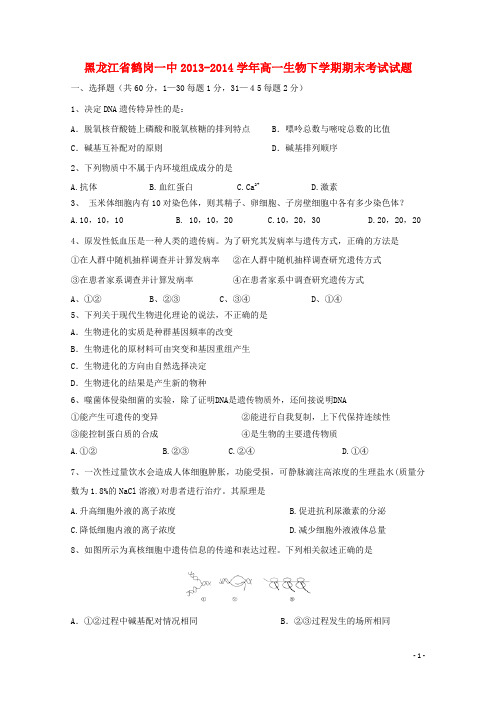 黑龙江省鹤岗一中高一生物下学期期末考试试题