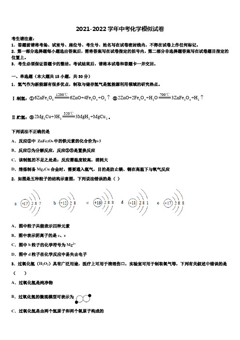 【全国百强校首发】河北省武邑中学2021-2022学年中考化学最后冲刺模拟试卷含解析