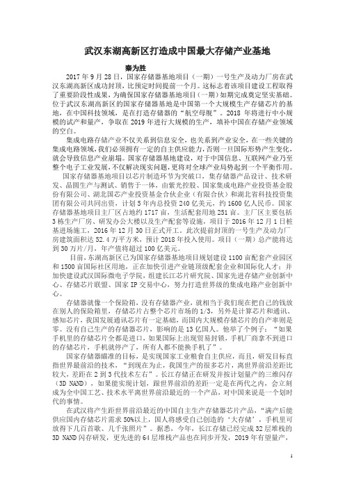 武汉东湖高新区打造成中国最大存储产业基地