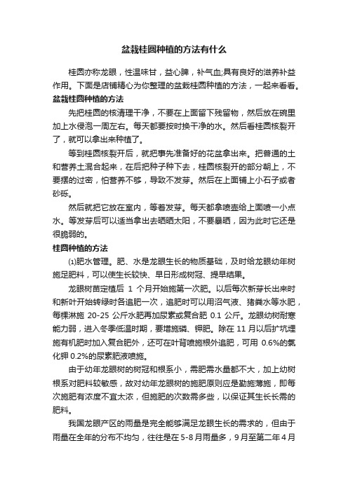 盆栽桂圆种植的方法有什么