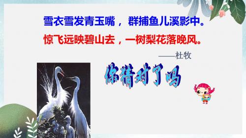 九年级语文上册第四单元第13课散文家谈散文关于散文白鹭课件2苏教版