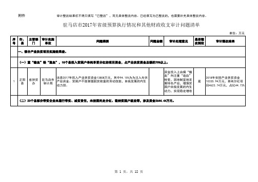 扶贫绩效审计情况表