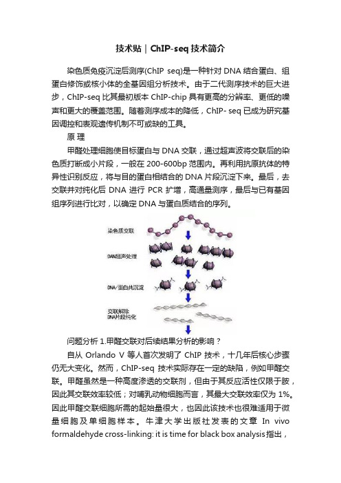 技术贴｜ChIP-seq技术简介