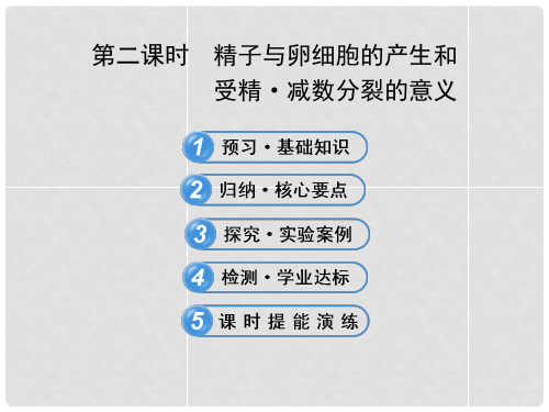 高中生物 2.1.2精子与卵细胞的产生和受精减数分裂的意义课件 浙科版必修21