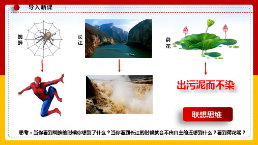 全国优质课一等奖部编版高中思想政治选择性必修三《联想思维的含义与方法》精品课件