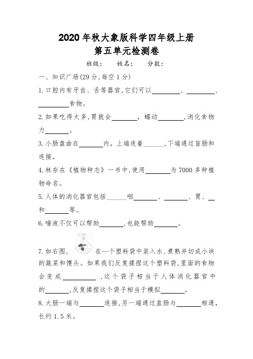 2020年秋新大象版科学小学四年级上册第五单元检测卷(含答案)