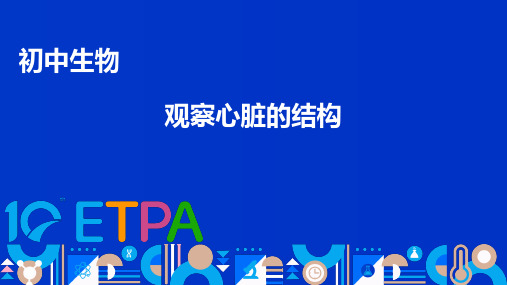 济南版七年级下册第三单元第四章第二节——观察心脏的结构说课