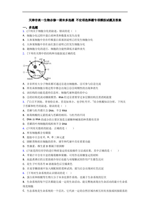 天津市高一生物必修一期末多选题 不定项选择题专项模拟试题及答案