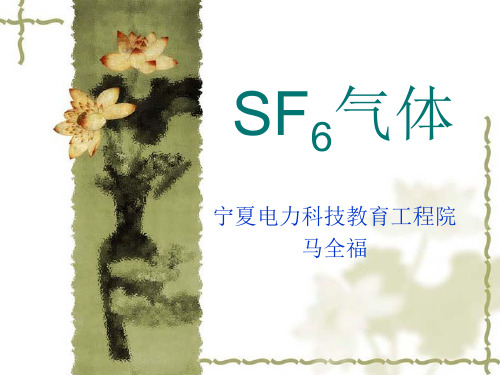 SF6气体