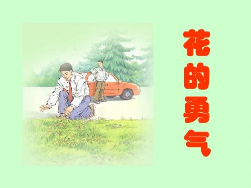 新课标人教版小学四年级语文下册：20花的勇气1PPT、优质教学课件