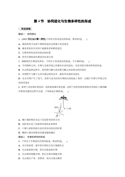 高中生物必修二 练透试卷 第6章 第4节 协同进化与生物多样性的形成