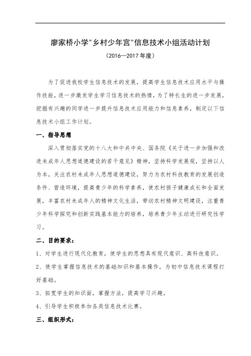 乡村少年宫计算机小组活动计划