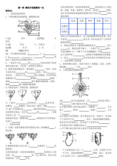 济南版生物八上第一章 绿色开花植物的一生