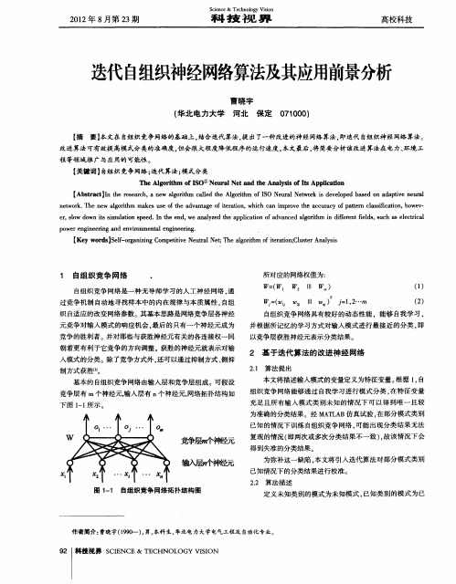 迭代自组织神经网络算法及其应用前景分析