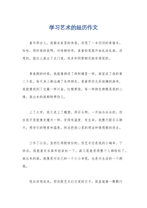 学习艺术的经历作文