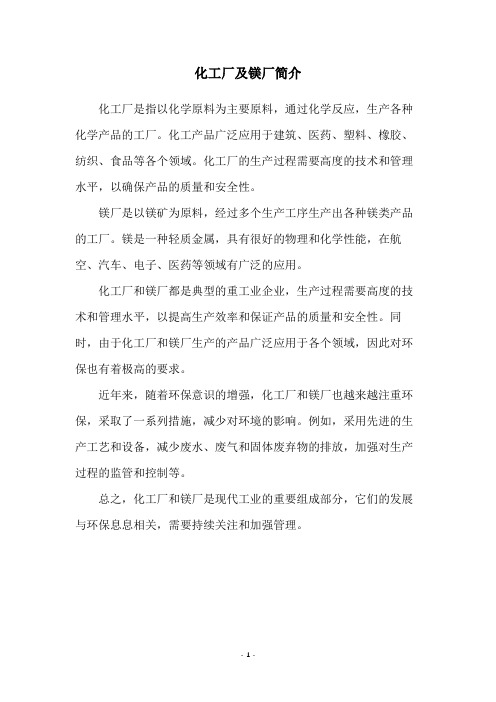 化工厂及镁厂简介