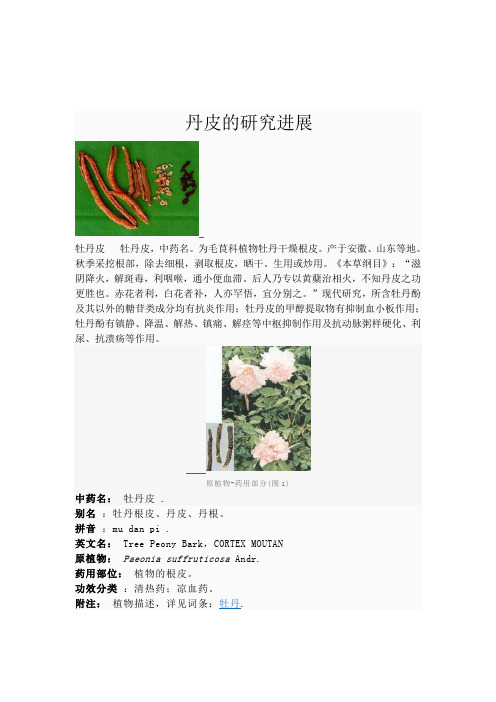 丹皮的研究