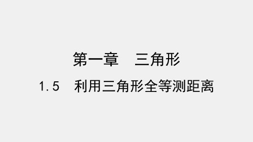 利用三角形全等测距离_数学