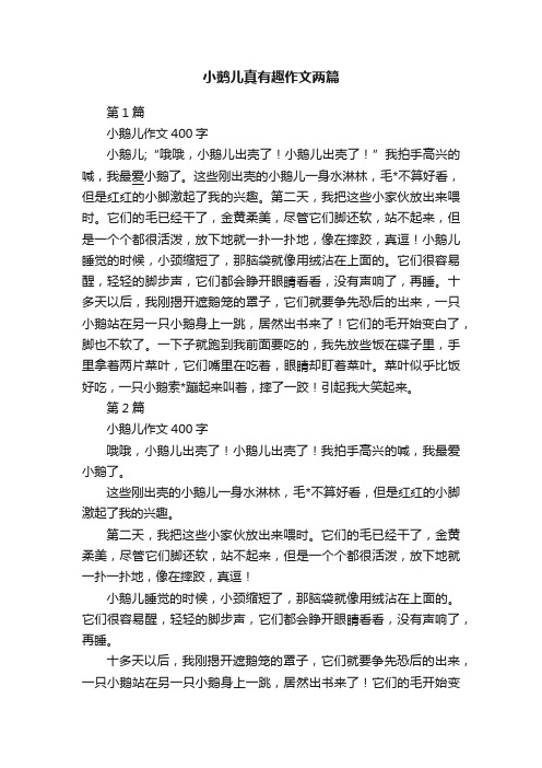 小鹅儿真有趣作文两篇