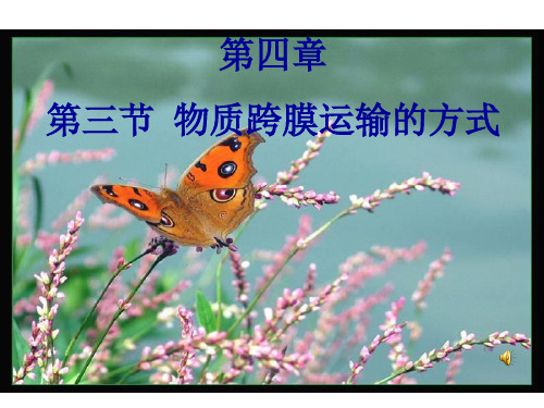 跨膜运输的方式