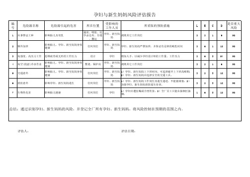 孕妇与新生妈妈风险评估报告