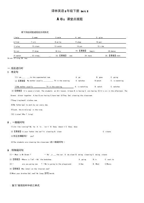 [译林版]5BUnit5考点精练