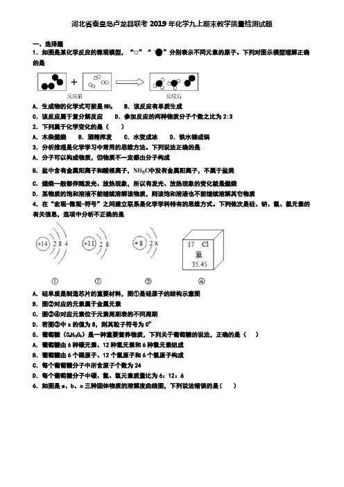 河北省秦皇岛卢龙县联考2019年化学九上期末教学质量检测试题