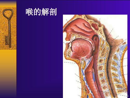 喉部的CT解剖ppt课件